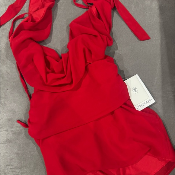 Peppermayo Elysia Chiffon Mini Dress NWT S/US4 - Picture 4 of 5